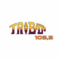 Radio Tribo Fm