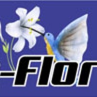 Rádio Beija-Flor FM