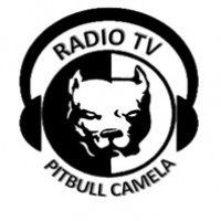 Radio Tv Pitbull Camela
