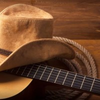 Sertanejo Raiz